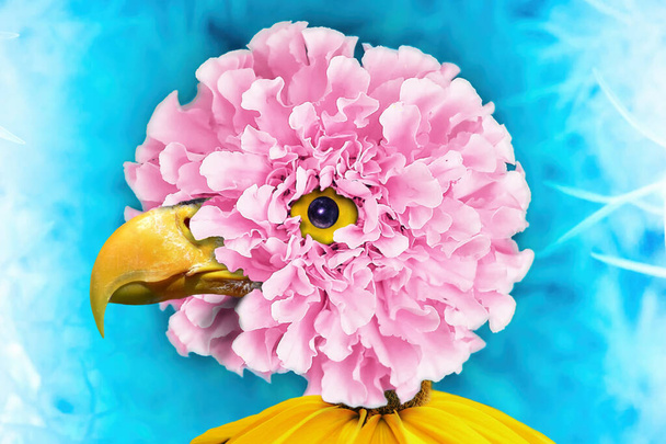 Рожева квітка чорнобривця. Голова птаха з квітки чорнобривця, бірюзовий фон, творча ідея. Колаж сучасного мистецтва
. - Фото, зображення