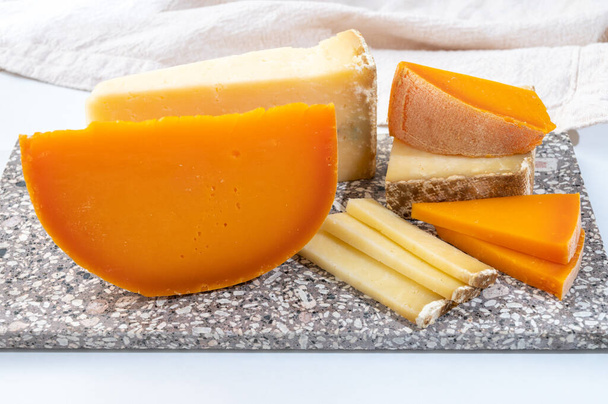 Sbírka sýrů, tvrdý francouzský sýr starý kantal fermier a žlutá mimolette ze syrového kravského mléka s kůží zblízka - Fotografie, Obrázek
