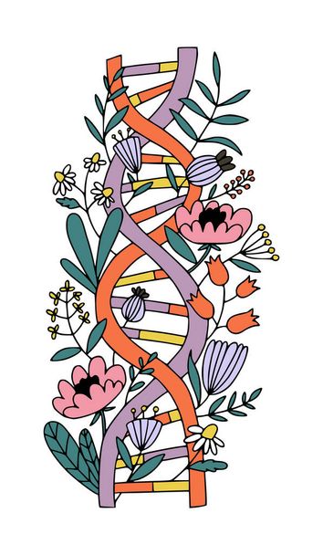 Espiral de ADN com flores. Biotecnologia e evolução medicina conceito. - Vetor, Imagem