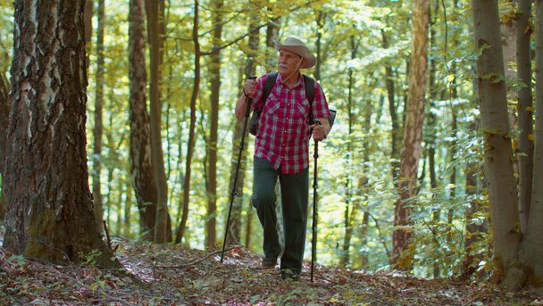 Vanhempi kaukasialainen turisti retkeilijä isoisä koulutus Nordic kävely vaellus pylväät metsässä - Valokuva, kuva