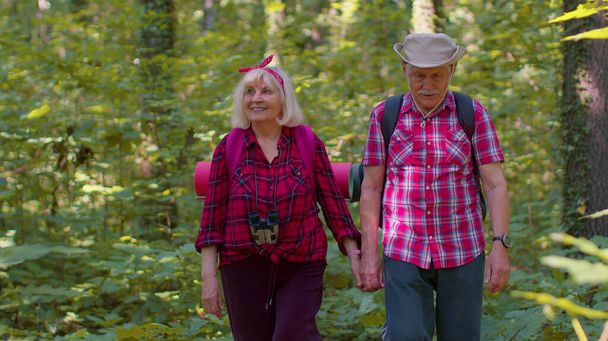 Anciano abuelo abuela turistas disfrutando de caminar, senderismo con mochilas en madera de verano - Foto, imagen