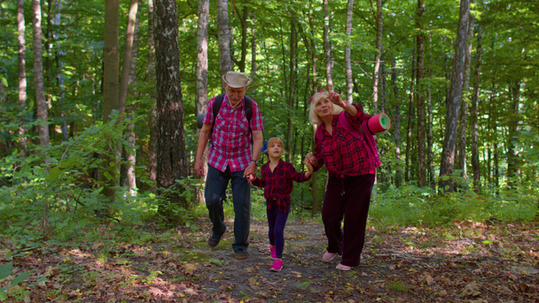 Активная старшая бабушка дедушка туристов ходить пешком с внучкой в летнем лесу - Фото, изображение