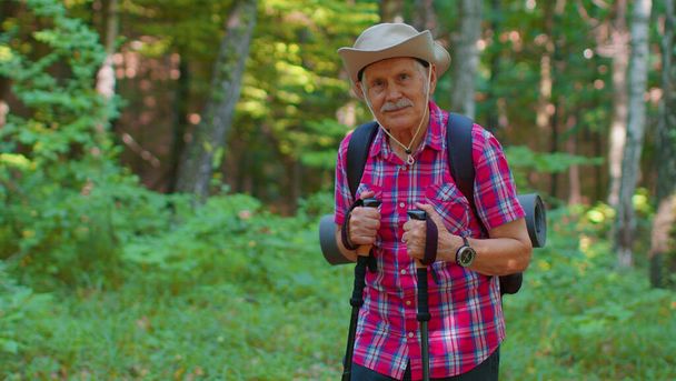 Seniorzy starsi turyści dziadek szkolenia Nordic walking z kijkami trekkingowymi, turystyka w drewnie - Zdjęcie, obraz