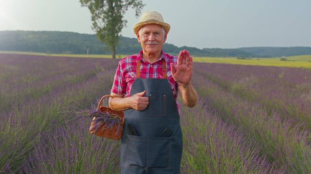 Senior man grootvader boer tuinieren lavendelplant in kruidentuin, zwaaien handen hallo - Foto, afbeelding