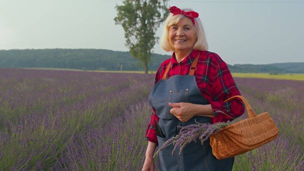 Mujer agricultora mayor girando cara a cámara y sonriendo en el campo de lavanda prado jardín de hierbas de flores - Foto, imagen