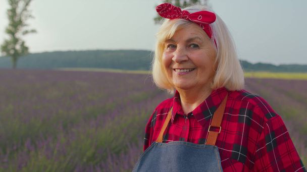 Idősebb gazda munkás nagymama portréja ökológiai területen növekvő lila levendula virágok - Fotó, kép