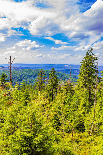 Forest with dead fir trees and landscape panorama at Brocken mountain peak in Harz mountains Wernigerode Saxony-Anhalt Germany - Photo, image