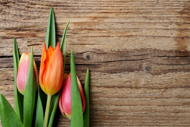 Colorful tulips on wooden board. Graphic resources - Foto, Imagen