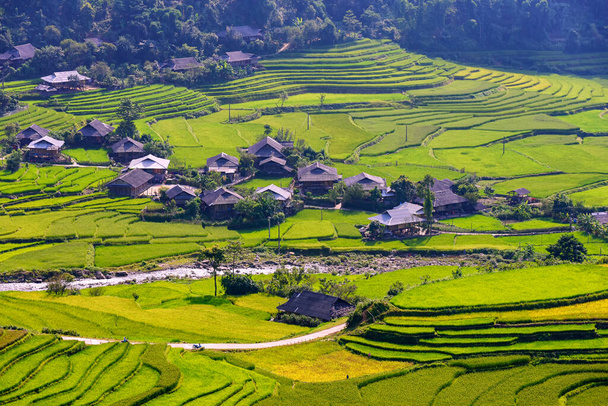 Rijstvelden op terrasvormige mooie vorm van de TU LE Valley, uitzicht op de weg tussen Nghia Lo en Mu Cang Chai, provincie Yen Bai, Vietnam. Een aantrekkelijke toeristische bestemming 250 km van Hanoi. - Foto, afbeelding
