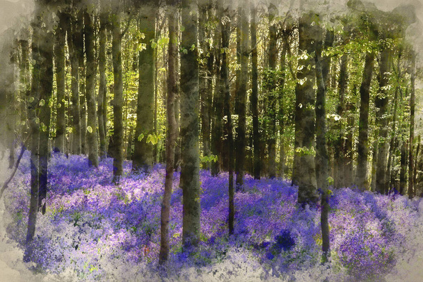 Digitale Aquarellmalerei von Schöne Landschaft des Frühlings Blauglocken im Wald - Foto, Bild