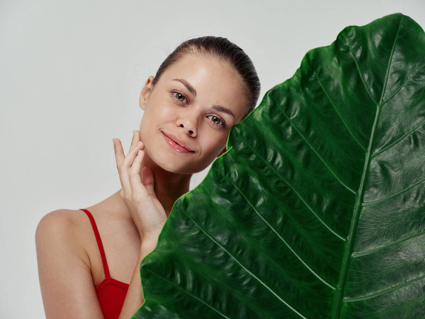 νεαρή γυναίκα καθαρό δέρμα πράσινο φύλλο φοίνικα φυσική εμφάνιση κοσμετολογία - Φωτογραφία, εικόνα