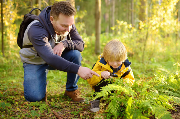 Preschooler boy and his father are exploring nature with magnifying glass. Little child is looking on leaf of fern with magnifier. Summer family vacation for inquisitive kids in forest. Hiking. Scout - Фото, зображення
