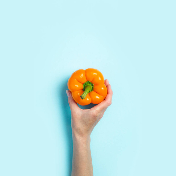 Uma mão feminina segura uma pimenta laranja em um fundo azul. Vista superior, flat lay. - Foto, Imagem