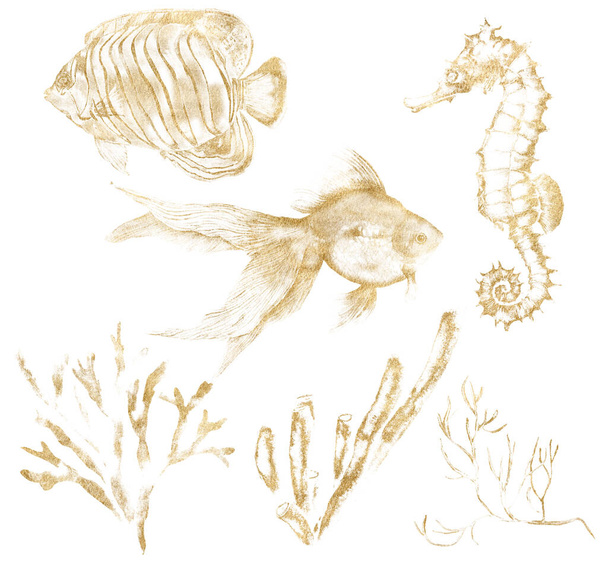 ゴールドシーホース、魚やサンゴの水彩熱帯セット。白い背景に隔離された水中の線形植物や動物。デザイン、印刷または背景のための水性イラスト. - 写真・画像