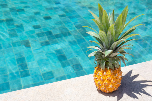 Ripe pineapple on the background of the pool on a sunny day. - Φωτογραφία, εικόνα