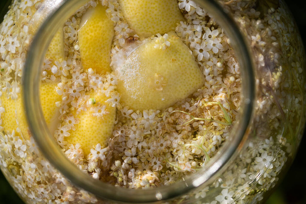 sciroppo di sambuco fatto in casa con limone  - Foto, immagini