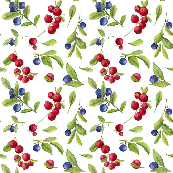 Watercolor seamless Pattern with Blueberry and Cranberry on white isolated Background. Vintage Berry ornament for textile or wrapping paper Fruit hand painted illustration - Fotografie, Obrázek