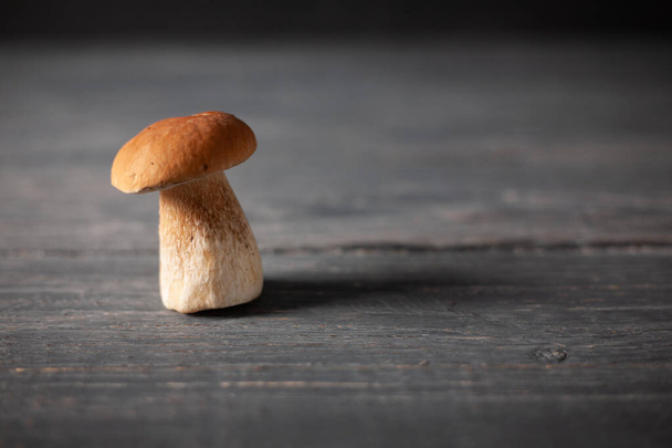 Porcini or white mushroom on wooden table. Rustic style. - Fotoğraf, Görsel