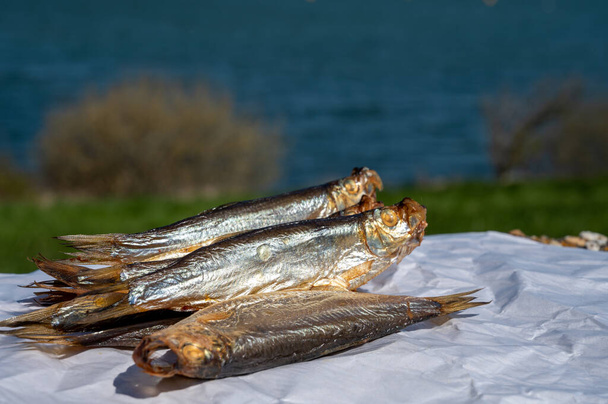 Savustettu kilohaili tai kilohaili merikala tarjoillaan ulkona näköalalla siniseen meriveteen valmis syömään - Valokuva, kuva