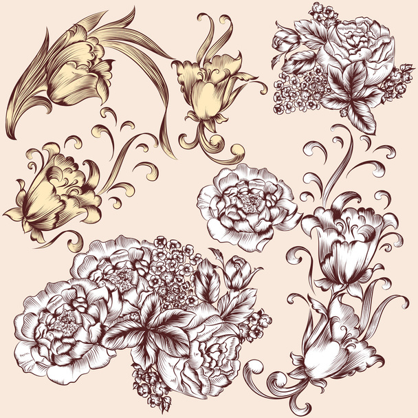 Collection of vector hand drawn flowers - Вектор,изображение