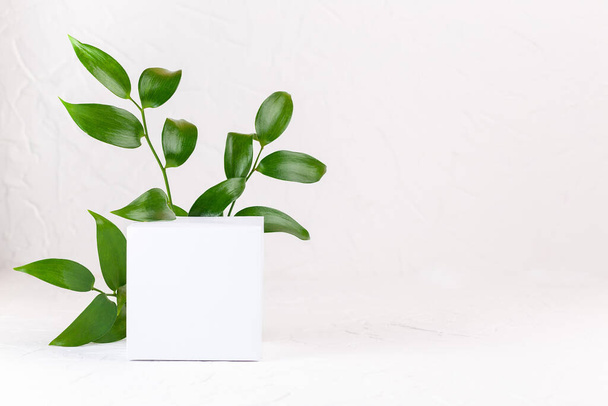 Green leaves and cube white empty podium for product display. Background for cosmetic products with copy space, horizontal, front view - Fotó, kép