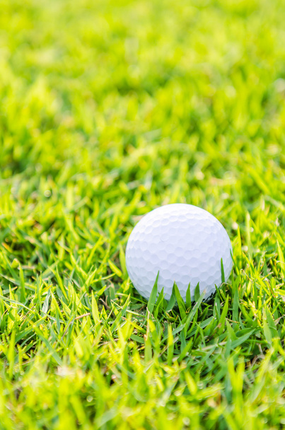 Golf ball on green grass - Foto, immagini
