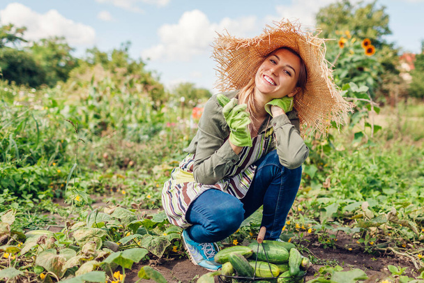 Gelukkige vrouwelijke boer die komkommers oogst in de tuin. Jonge tuinman die groenten plukt in mand. Gezond voedsel verbouwen op kleine boerderij - Foto, afbeelding