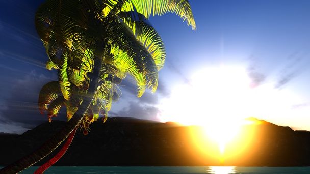 παράδεισος στο νησί των Χαβάη - Φωτογραφία, εικόνα