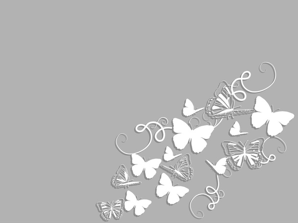 vlinders concept - Vector, afbeelding