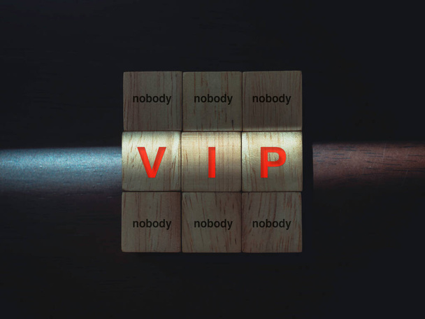 VIP and nobody, words on wooden blocks with the light on dark wood background. Privileges infringing on other people freedoms and civil liberties concept. - Photo, Image