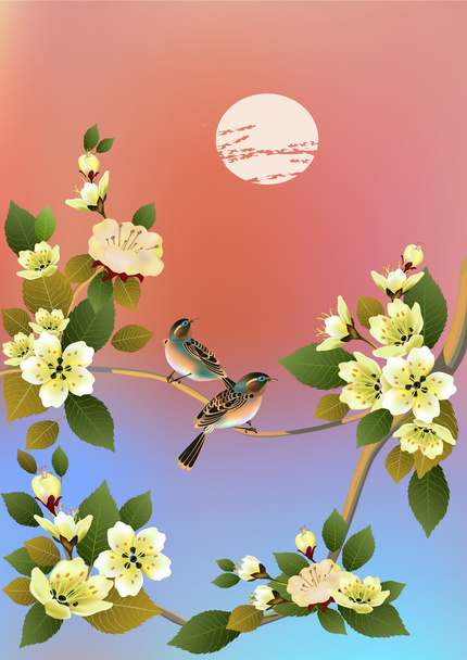 Sakura, jaro, pohlednice . - Vektor, obrázek