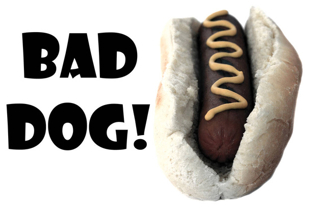 Hot Dog. Bad Dog Hot Dog Colorized in gray scale. Room for text. Isolated on white. Image and text easily moved or replaced as needed. - Φωτογραφία, εικόνα