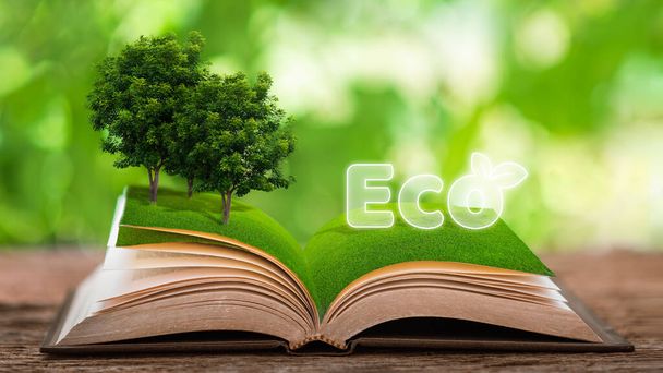 Koncepcja ekologicznego recyklingu. Symbol recyklingu znajduje się na książce umieszczonej na stole złożonym z roślin.. - Zdjęcie, obraz