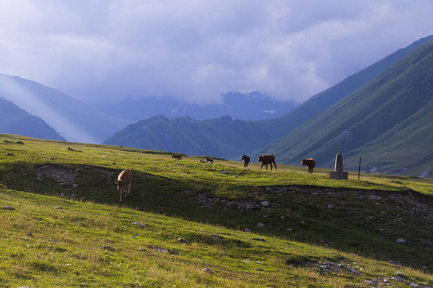 A beautiful scenery of mountain landscape and view of mountain range in Javakheti, Georgia - Fotografie, Obrázek