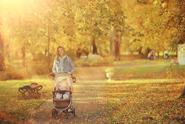 mom with a stroller in the autumn park for a walk, landscape autumn view october alley yellow park - Foto, immagini