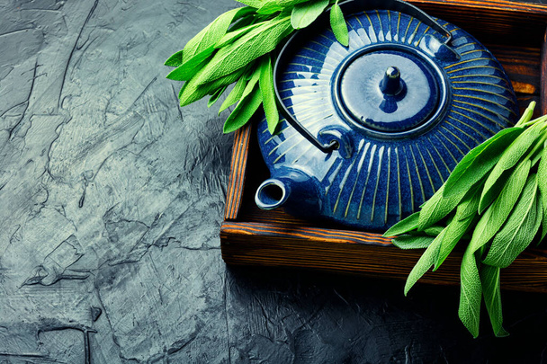 Tea with fragrant leaves of fresh sage. Salvia and herbal medicine. - Photo, Image