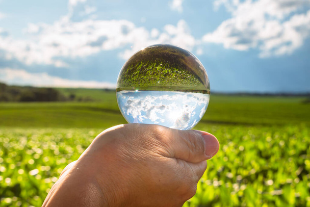 Paisaje horario de verano de las tierras de cultivo en el campo húngaro, Europa se refleja en una bola de lente - Foto, Imagen