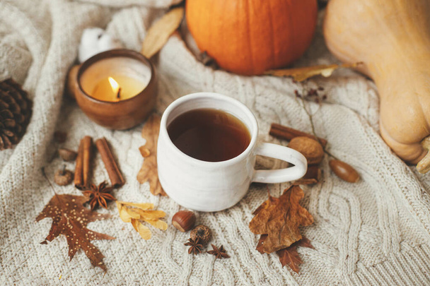 Útulné podzimní dny. Teplý šálek čaje na stylovém pleteném svetru s dýněmi, podzimními listy a oříšky, hořící svíčka. Šťastné Díkůvzdání a Halloween. Ahoj podzimní období - Fotografie, Obrázek