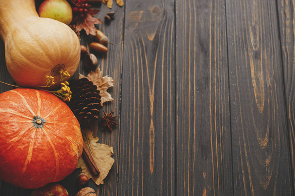 Happy Thanksgiving. Pumpkins, autumn leaves, anise, acorns, cinnamon border on rustic dark wood with space for text. Hello Autumn. Harvest - Photo, Image