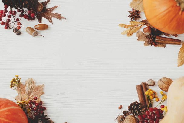 Pompoenen, herfstbladeren, anijs, eikels, kaneel op wit hout. Herfst achtergrond plat lag met ruimte voor tekst. Gelukkige Thanksgiving en Halloween sjabloon. Hallo Herfst - Foto, afbeelding