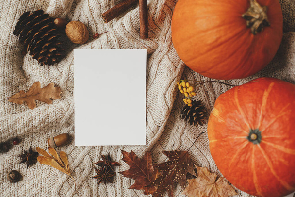 Jesienna kartka okolicznościowa makieta, leżenie płaskie. Pusta kartka na swetrze z dynią, liśćmi jesieni, szyszką sosnową, anyżem, żołędziami na białym drewnie. Święto Dziękczynienia i szablon pocztówki Halloween. Miejsce na tekst - Zdjęcie, obraz