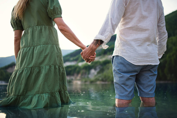 Rear view of mature couple in love standing in nature, holding hands. - Foto, Bild