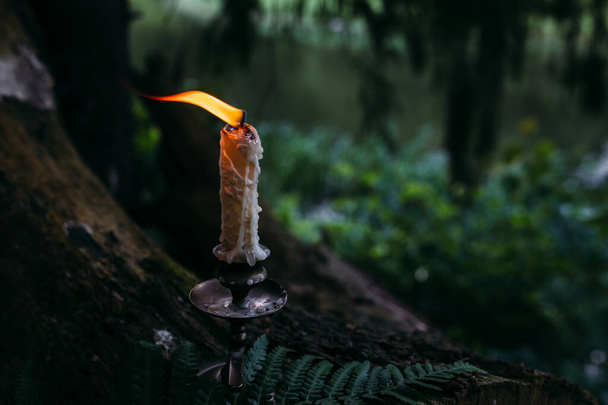 Płonąca świeca w zaczarowanym lesie. Koncepcja okultystyczna, ezoteryczna. - Zdjęcie, obraz