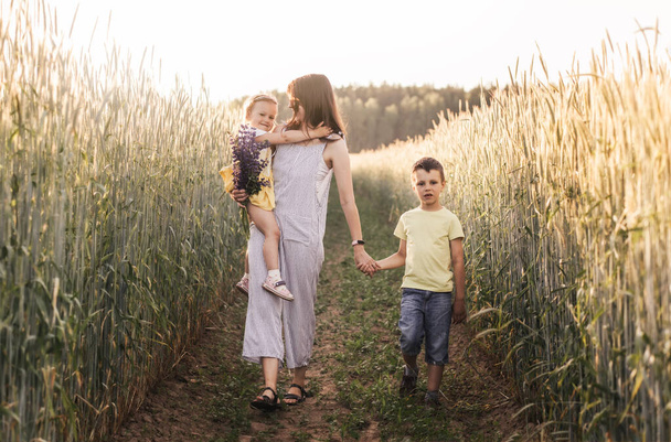 Mère avec des enfants avec son fils et sa fille marchant dans un champ de blé - Photo, image