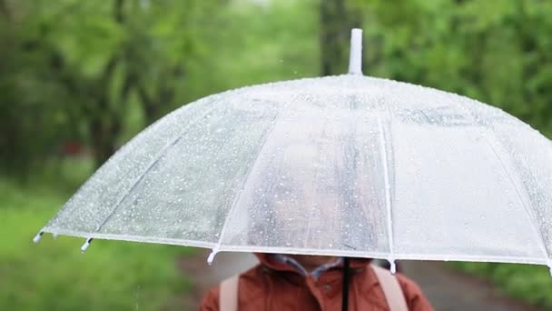 Persoon in een kap met een transparante paraplu terwijl hij buiten staat, wandelingen in het park en de tuin in de zomer - Video