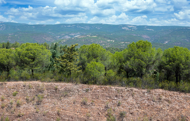 İspanya 'nın güneyindeki Olvera Meadows. La Via verde 'de, Olvera ve Puerto Serrano arasında yer almaktadır. - Fotoğraf, Görsel