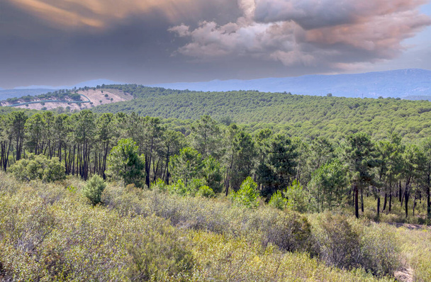 Olveran niityt Etelä-Espanjassa. Se sijaitsee La Via verde välillä Olvera ja Puerto Serrano - Valokuva, kuva