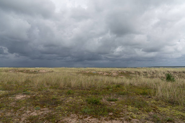 Pasto de pantano salvaje y dunas de arena en la costa bajo un cielo oscuro nublado y ominoso - Foto, Imagen