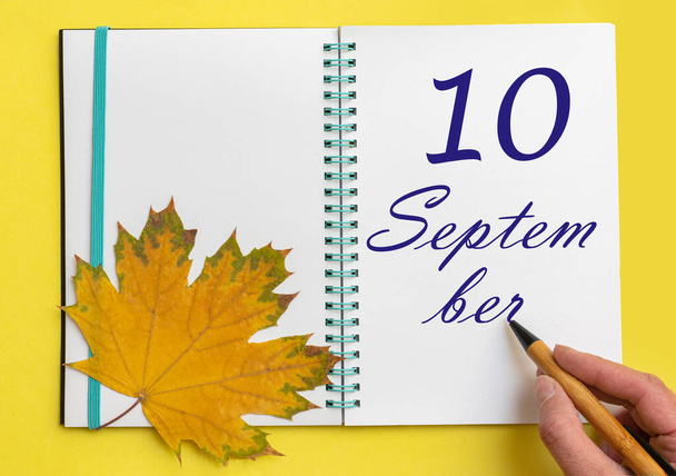 10th day of september. Hand writing the date 10 september in an open notebook with a beautiful natural maple leaf on a yellow background. Autumn month, day of the year concept. - Photo, image