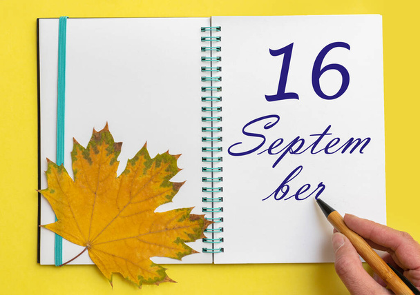 16th day of september. Hand writing the date 16 september in an open notebook with a beautiful natural maple leaf on a yellow background. Autumn month, day of the year concept. - Fotografie, Obrázek